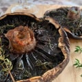 Smoked Salt Rub for Portobello Mushrooms: A Delicious Twist for Your BBQ