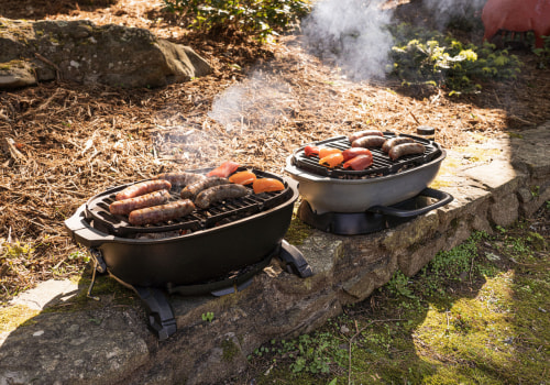 A Beginner's Guide to Portable Grill Options